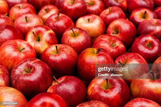 APPLE DESI (500gm)