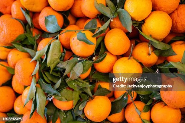 MINI ORANGES MANDARIN (500GM)